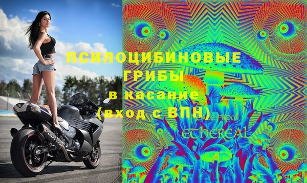 винт Балахна