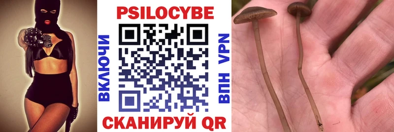 Галлюциногенные грибы Magic Shrooms  Вольск 